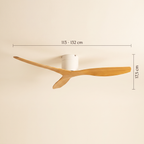 Evelin Wentylator Sufitowy | Cichy, Sterowany Pilotem, Nowoczesny Design 8